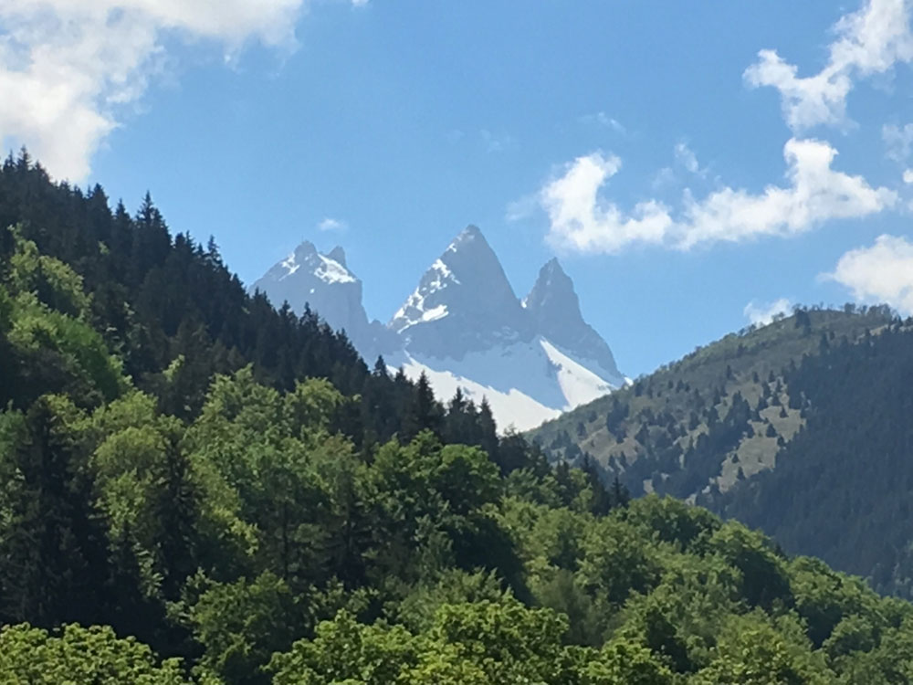 aiguilles arves printemps